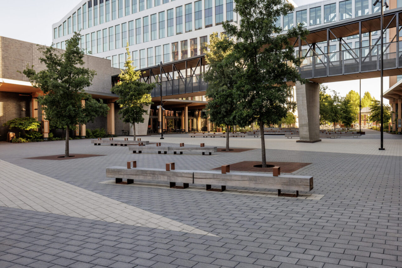 Modern urban plaza with gray paver flooring, wood-and-steel bench seating arranged around planted trees, an elevated glass skywalk bridge, and multi-story glass office buildings in the background.