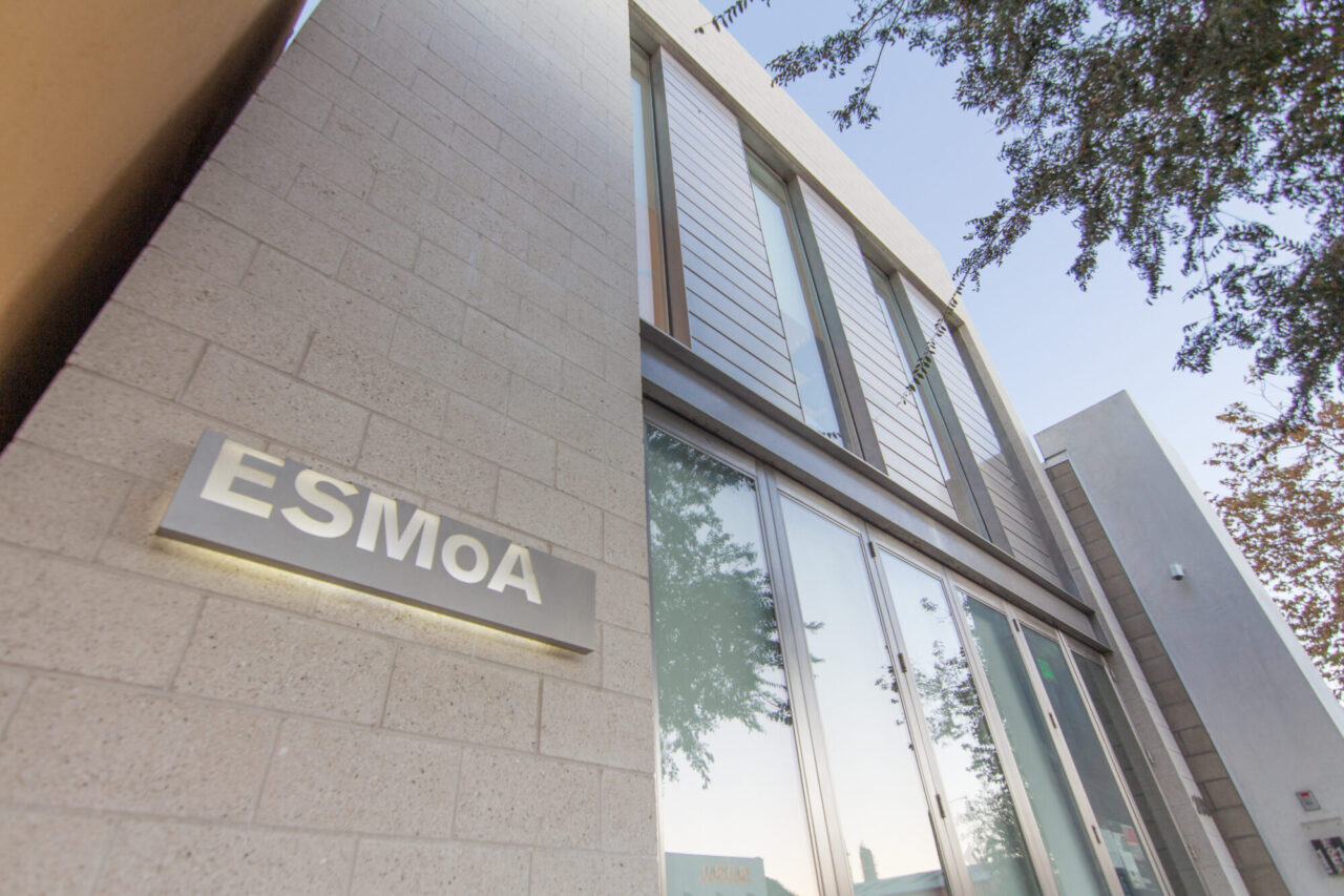 Modern building exterior with a light gray concrete block facade displaying a backlit "ESMoA" sign, tall glass-paneled storefront windows, and a horizontal wood-slat upper level, framed by overhanging tree branches against a blue sky.