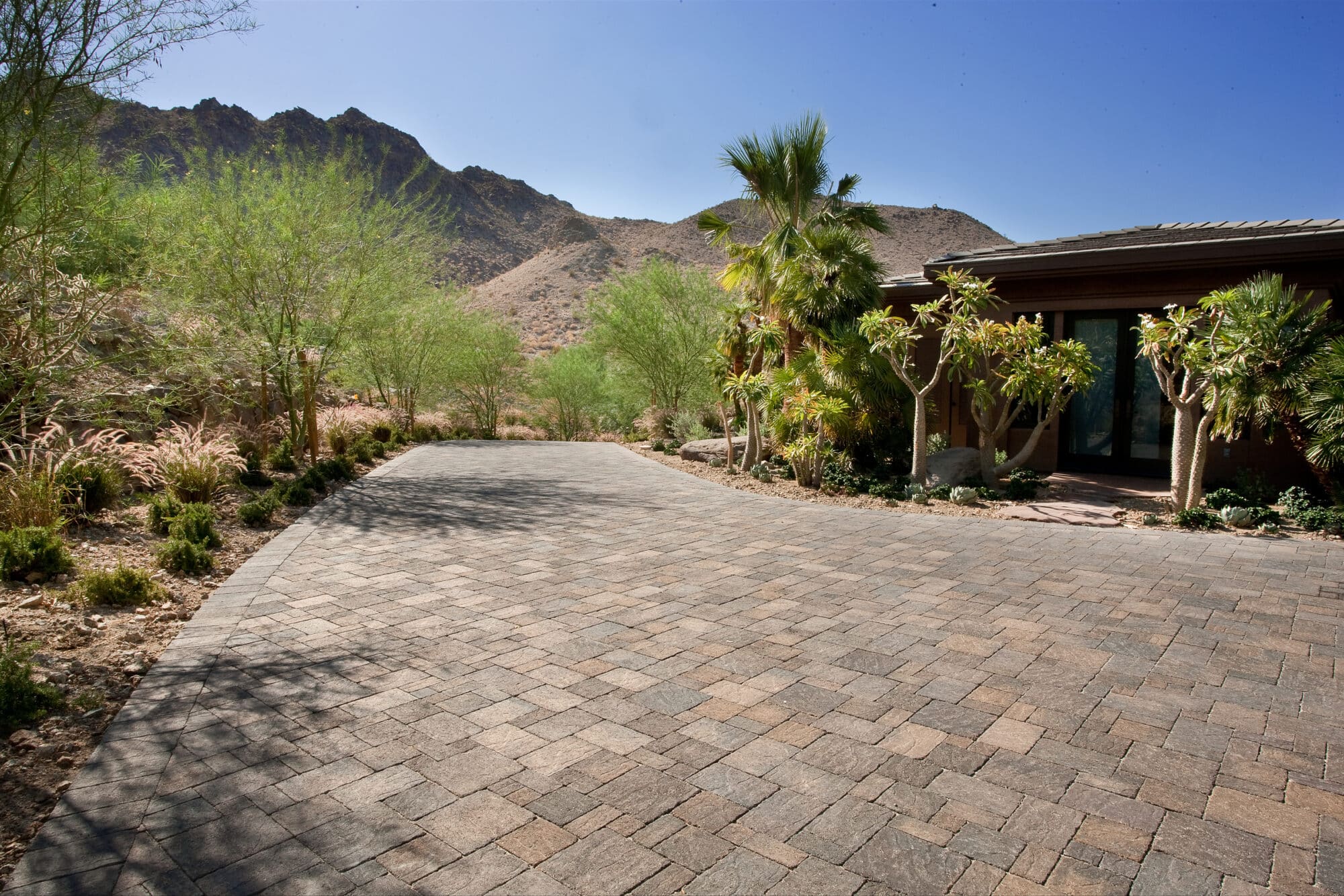 Paver stone driveway leading to a desert-style home with palm trees and desert landscaping.