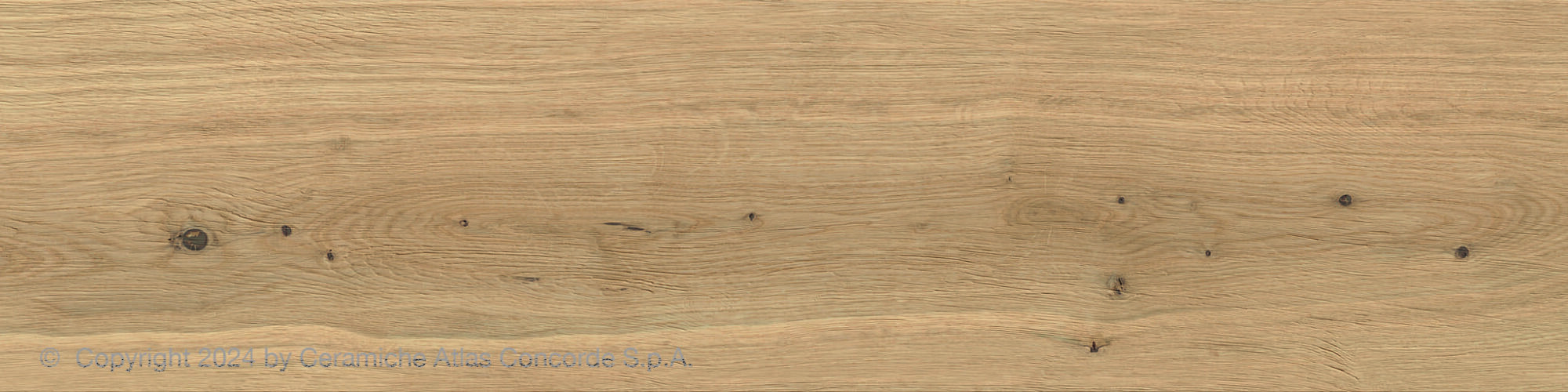 Planks (12x48) - Image 7